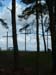 0309_FrieLau-166