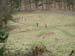 0309_FrieLau-206